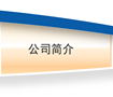 Company information
